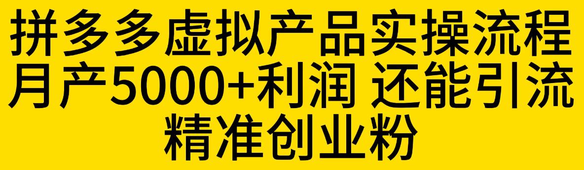 拼多多虚拟产品实操流程，月产5000+利润，还能引流精准创业粉【揭秘】-第一资源站