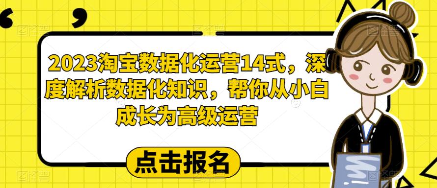 2023淘宝数据化运营14式，深度解析数据化知识，帮你从小白成长为高级运营-第一资源站