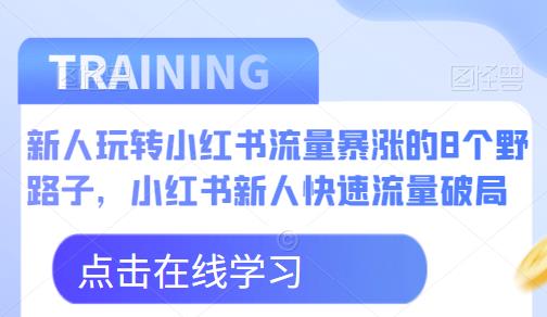 新人玩转小红书流量暴涨的8个野路子，小红书新人快速流量破局-第一资源站