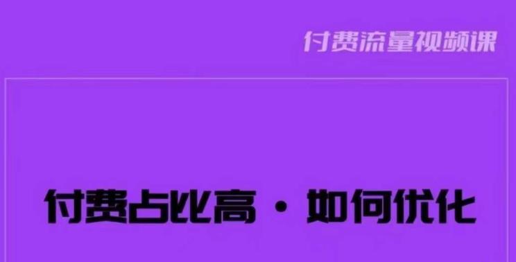 波波-付费占比高，如何优化？只讲方法，不说废话，高效解决问题！-第一资源站