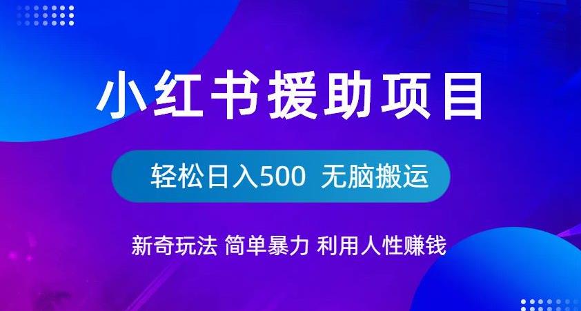 小红书援助项目新奇玩法，简单暴力，无脑搬运轻松日入500【揭秘】-第一资源站