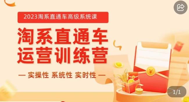 冠东·2023淘系直通车高级系统课，​实操性，系统性，实时性，直通车完整体系教学-第一资源站