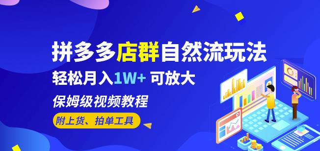 拼多多店群自然流玩法，轻松月入1W+保姆级视频教程（附上货、拍单工具）-第一资源站