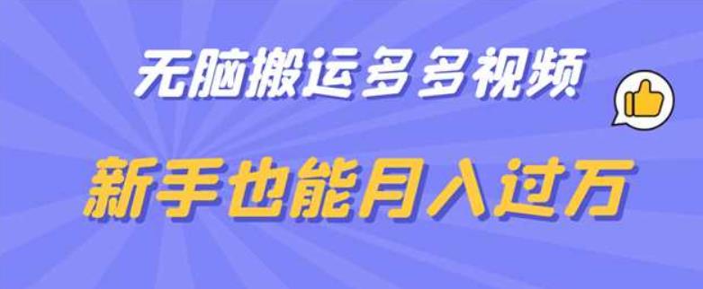 无脑搬运多多视频，新手也能月入过万【揭秘】-第一资源站