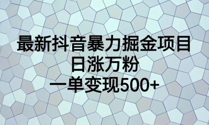 最新抖音暴力掘金项目，日涨万粉，一单变现500+【揭秘】-第一资源站