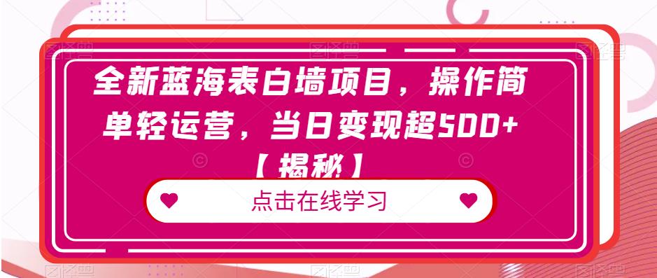 全新蓝海表白墙项目，操作简单轻运营，当日变现超500+【揭秘】-第一资源站