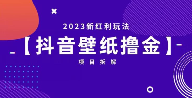 抖音壁纸小程序创作者撸金项目，2023新红利玩法【项目拆解】-第一资源站