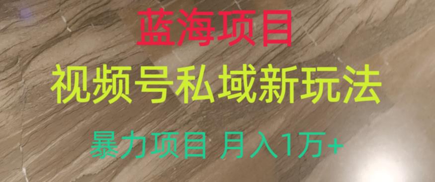 蓝海项目，视频号私域新玩法，暴力项目月入1万+【揭秘】-第一资源站