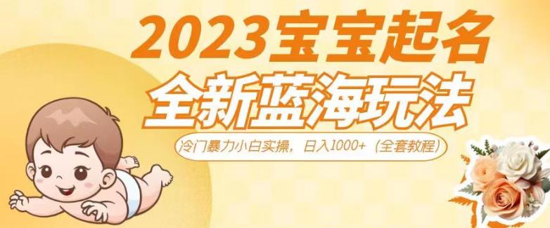 2023宝宝起名全新蓝海玩法，冷门暴力小白实操，日入1000+（全套教程）【揭秘】-第一资源站