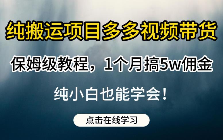 纯搬运项目多多视频带货保姆级教程，1个月搞5w佣金，纯小白也能学会【揭秘】-第一资源站