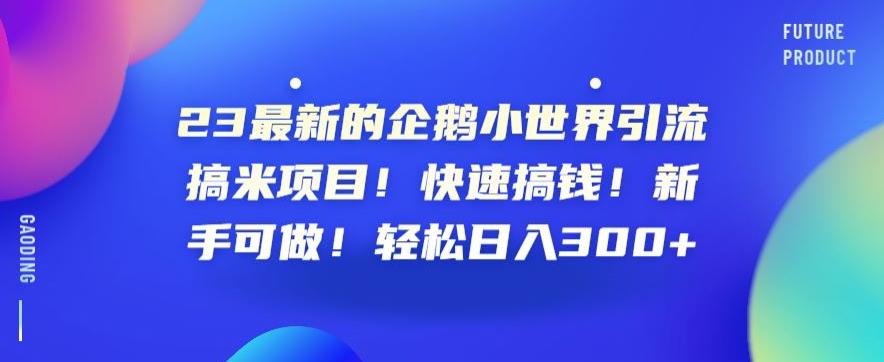 23最新的企鹅小世界引流搞米项目！快速搞钱！新手可做！轻松日入300+【揭秘】-第一资源站