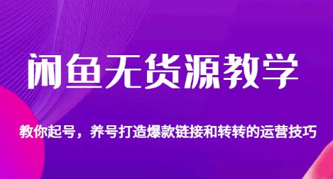 闲鱼无货源教学，教你起号，养号打造爆款链接以及转转的运营技巧-第一资源站