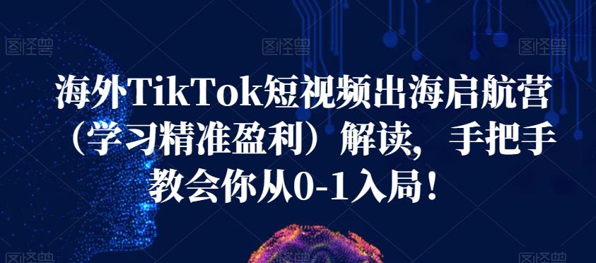 海外TikTok短视频出海启航营（学习精准盈利）解读，手把手教会你从0-1入局！-第一资源站