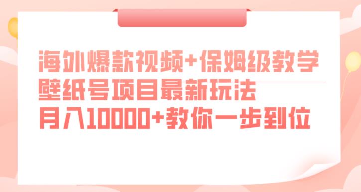 海外爆款视频+保姆级教学，壁纸号项目最新玩法，月入10000+教你一步到位【揭秘】-第一资源站