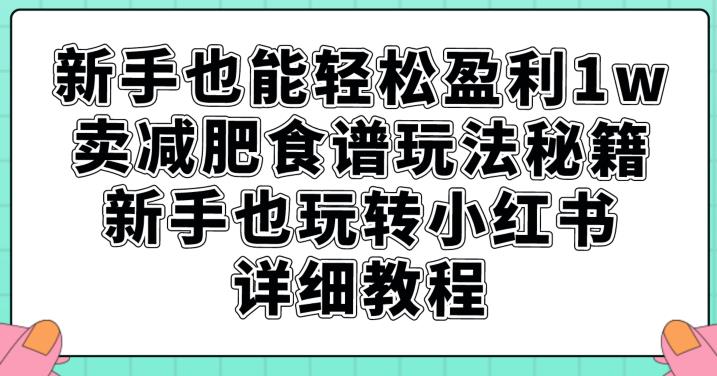 新手也能轻松盈利1w，卖减肥食谱玩法秘籍，新手也玩转小红书详细教程【揭秘】-第一资源站