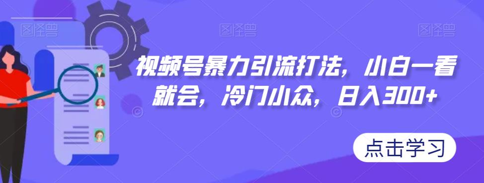 视频号暴力引流打法，小白一看就会，冷门小众，日入300+【揭秘】-第一资源站