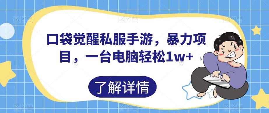 口袋觉醒私服手游，暴力项目，一台电脑轻松1w+【揭秘】-第一资源站