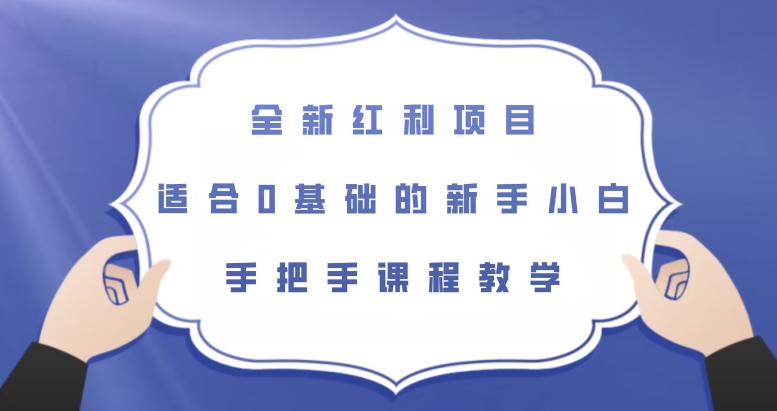 全新红利项目，适合0基础的新手小白，手把手课程教学【揭秘】-第一资源站