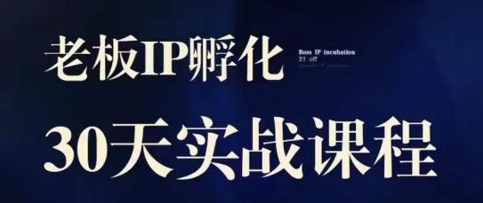 诸葛·2023老板IP实战课，实体同城引流获客，IP孵化必听-第一资源站