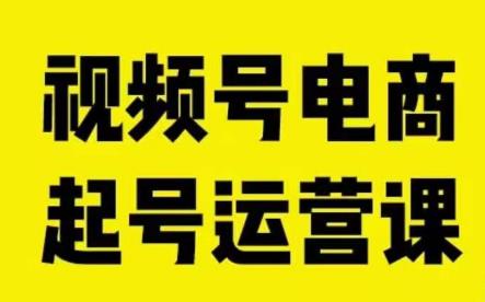 视频号电商起号运营课，教新人如何自然流起号，助力商家0-1突破-第一资源站