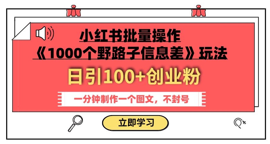 小红书批量操作《1000个野路子信息差》玩法，一分钟制作一个图文，不封号，日引100+创业粉-第一资源站