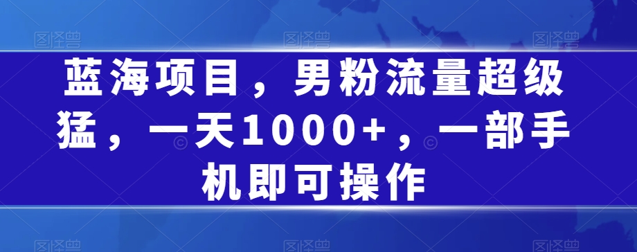 蓝海项目，男粉流量超级猛，一天1000+，一部手机即可操作【揭秘】-第一资源站