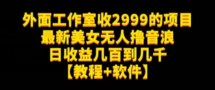 外面工作室收2999的项目最新美女无人撸音浪日收益几百到几千【教程+软件】（仅揭秘）-第一资源站