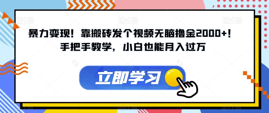 暴力变现！靠搬砖发个视频无脑撸金2000+！手把手教学，小白也能月入过万【揭秘】-第一资源站