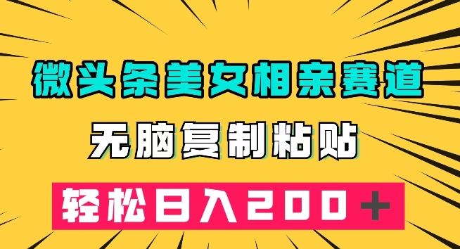 微头条冷门美女相亲赛道，无脑复制粘贴，轻松日入200＋【揭秘】-第一资源站