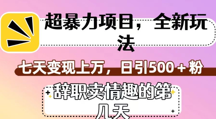 超暴利项目，全新玩法（辞职卖情趣的第几天），七天变现上万，日引500+粉【揭秘】-第一资源站