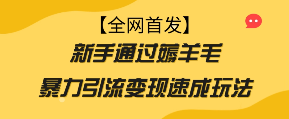 【全网首发】新手通过薅羊毛暴力引流变现速成玩法-第一资源站