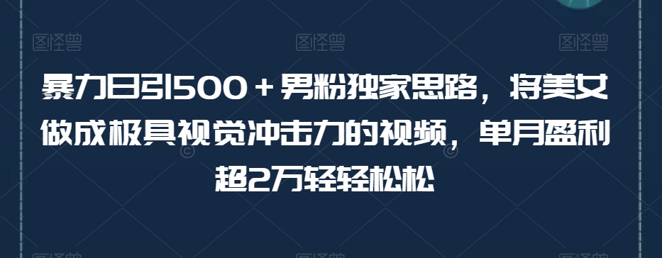 暴力日引500＋男粉独家思路，将美女做成极具视觉冲击力的视频，单月盈利超2万轻轻松松-第一资源站