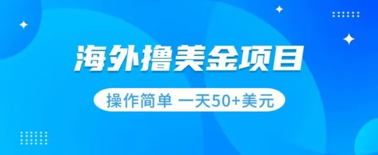 撸美金项目无门槛操作简单小白一天50+美刀-第一资源站