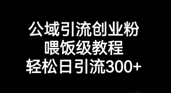 公域引流创业粉，喂饭级教程，轻松日引流300+【揭秘】-第一资源站