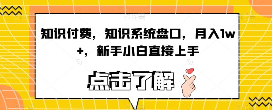 知识付费，知识系统盘口，月入1w+，新手小白直接上手-第一资源站