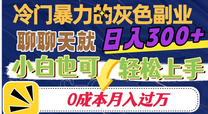 冷门暴利的副业项目，聊聊天就能日入300+，0成本月入过万【揭秘】-第一资源站