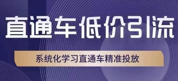 直通车低价引流课，系统化学习直通车精准投放-第一资源站