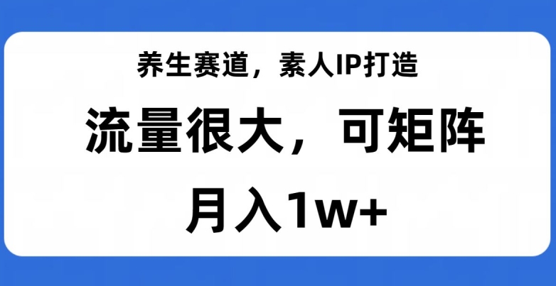 养生赛道，素人IP打造，流量很大，可矩阵，月入1w+【揭秘】-第一资源站