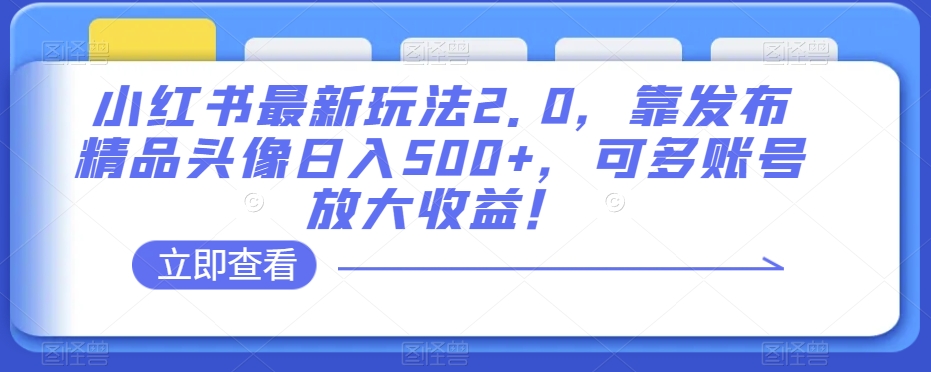 小红书最新玩法2.0，靠发布精品头像日入500+，可多账号放大收益！【揭秘】-第一资源站