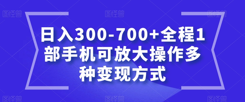 日入300-700+全程1部手机可放大操作多种变现方式【揭秘】-第一资源站