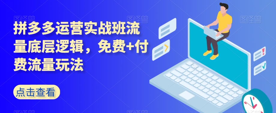 拼多多运营实战班流量底层逻辑，免费+付费流量玩法-第一资源站