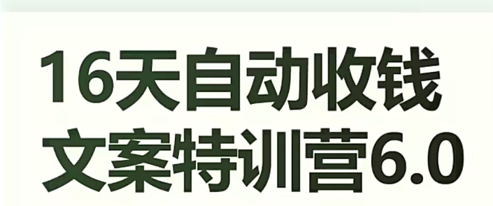 16天自动收钱文案特训营6.0，学会儿每天自动咔咔收钱-第一资源站