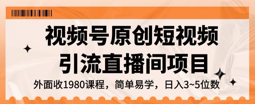 视频号原创短视频引流直播间项目，日入3~5五位数【揭秘】-第一资源站