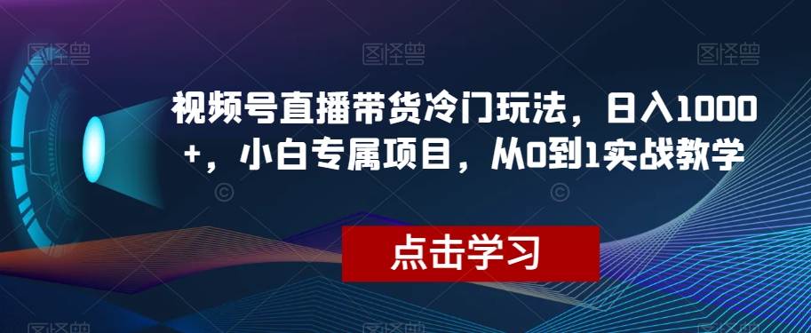 视频号直播带货冷门玩法，日入1000+，小白专属项目，从0到1实战教学【揭秘】-第一资源站