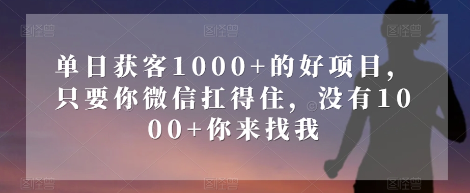 单日获客1000+的好项目，只要你微信扛得住，没有1000+你来找我【揭秘】-第一资源站