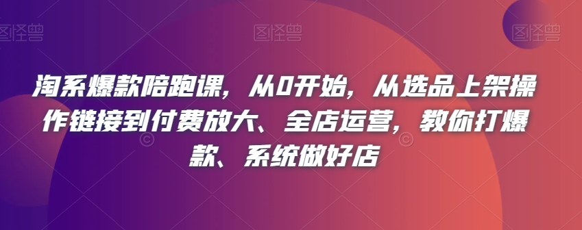 淘系爆款陪跑课，从0开始，从选品上架操作链接到付费放大、全店运营，教你打爆款、系统做好店-第一资源站