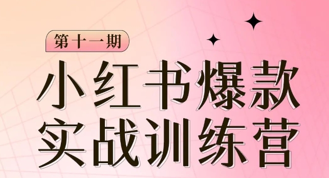 小红书博主爆款训练营第11期，手把手教你从0-1做小红书，从定位到起号到变现-第一资源站