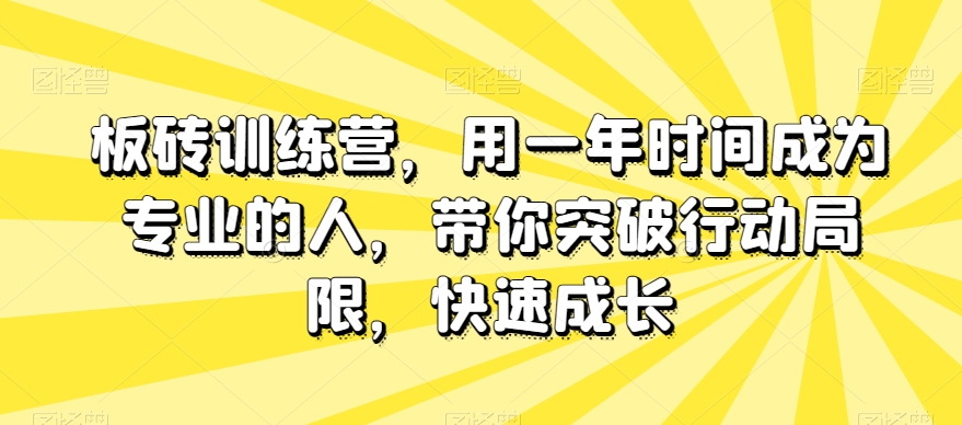 板砖训练营，用一年时间成为专业的人，带你突破行动局限，快速成长-第一资源站