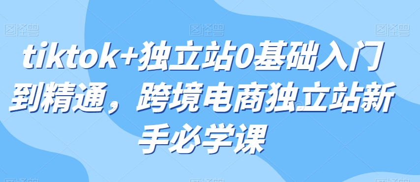 tiktok+独立站0基础入门到精通，跨境电商独立站新手必学课-第一资源站