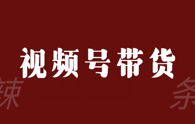 视频号带货联盟，赚信息差的带货钱，只需手机随时随地都可以做！-第一资源站